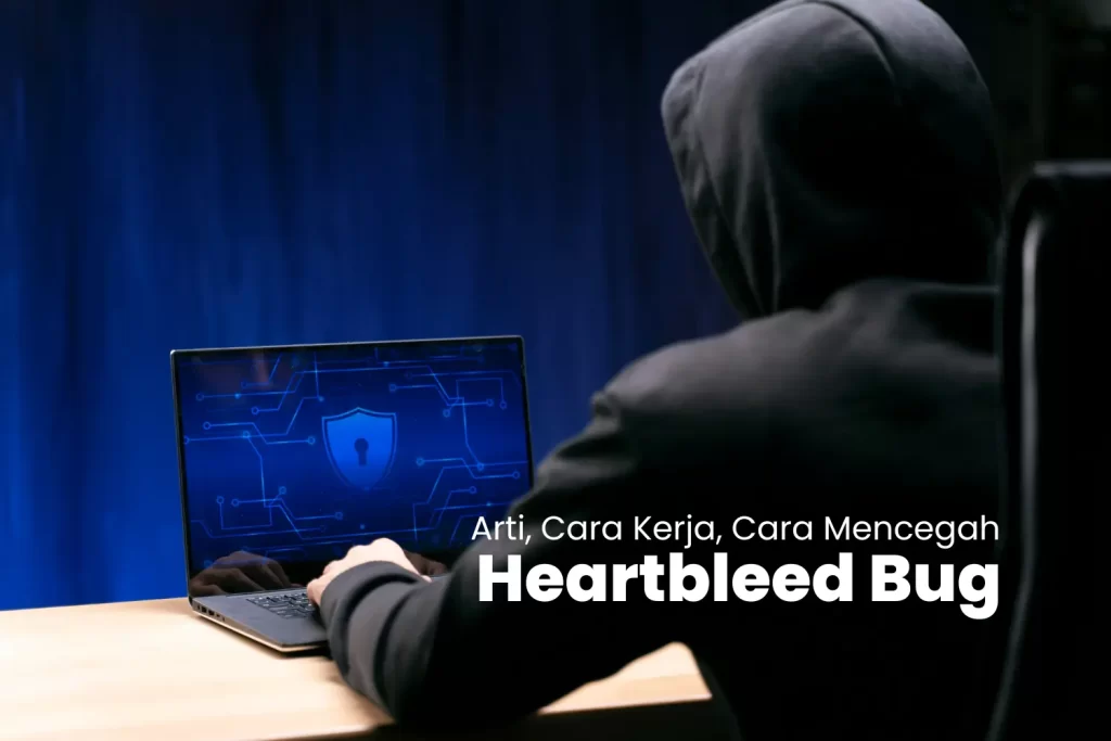 Heartbleed Bug